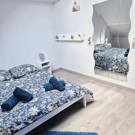 Tres Grand Triplex Plein Centre - 5 - Le Maine *