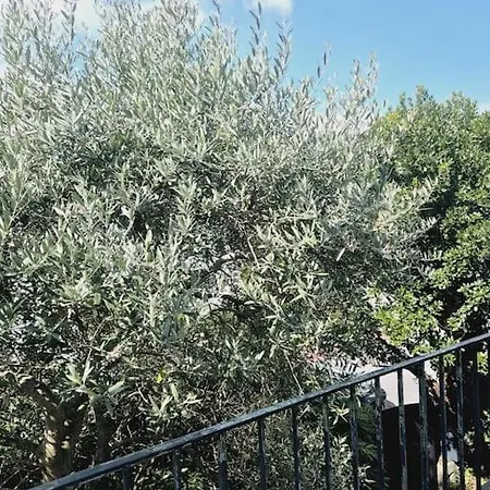 Tres Grand Triplex Plein Centre - 5 - Le Maine Holiday home Saint-Nazaire (Loire-Atlantique)