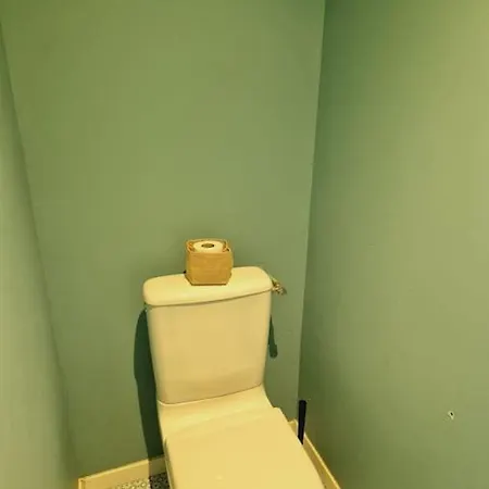 Tres Grand Triplex Plein Centre - 5 - Le Maine