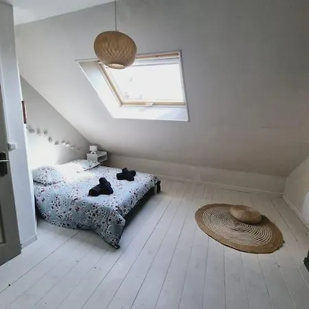 Tres Grand Triplex Plein Centre - 5 - Le Maine *