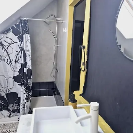 Tres Grand Triplex Plein Centre - 5 - Le Maine Casa vacanze *