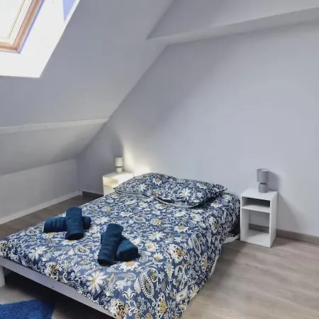 Tres Grand Triplex Plein Centre - 5 - Le Maine